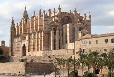 NUEVAS AYUDAS - PALMA NUEVAS AYUDAS - PALMA